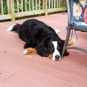 Meet your Posher, Matt